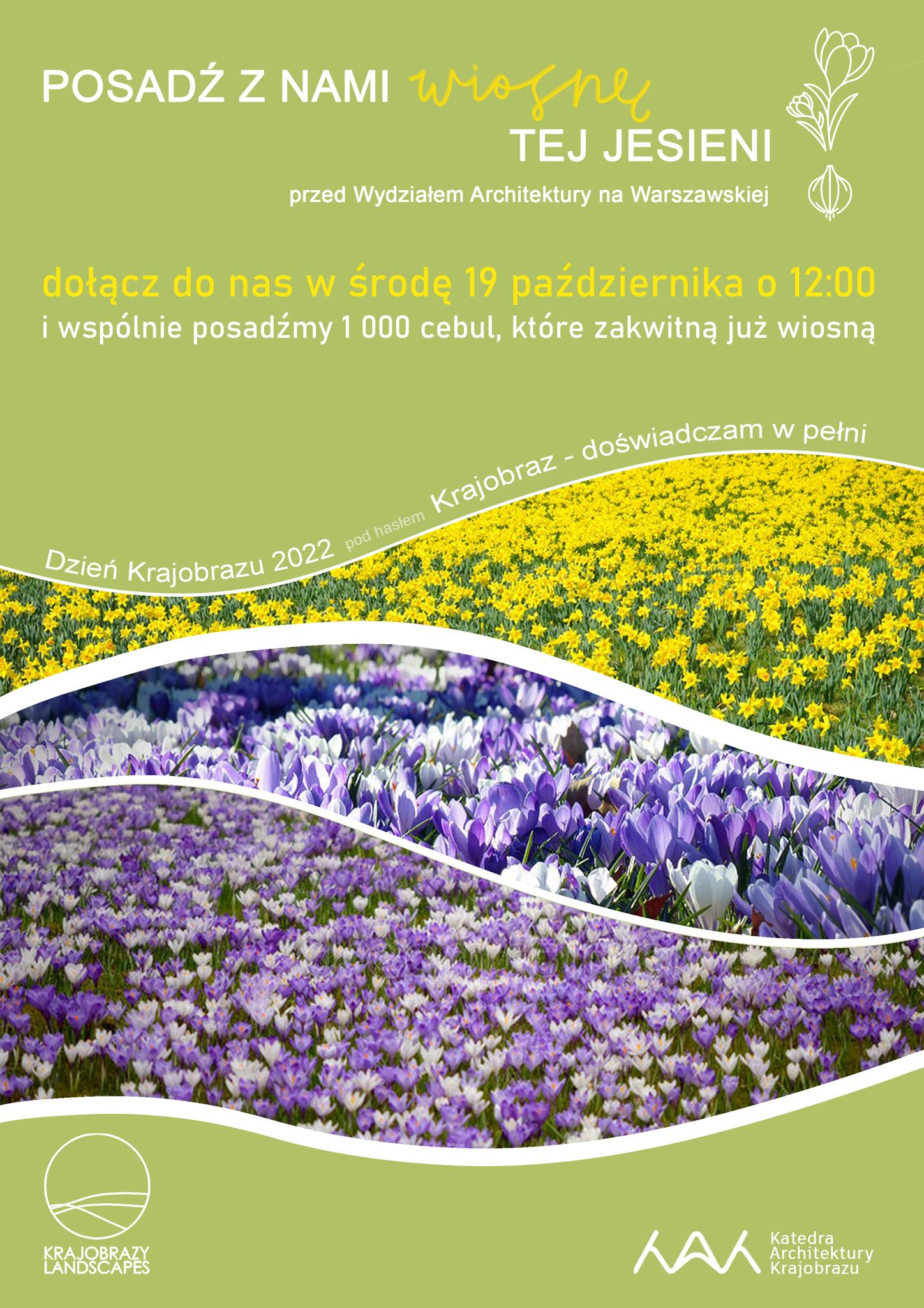 W środę akcja sadzenia 1000 cebulek wiosennych kwiatów na kampusie głównym PK