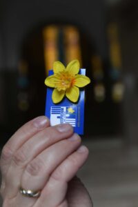 Symbol akcji "Pola Nadziei" - żonkil 