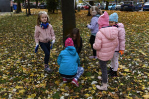Jesienny dzień, na trawie leży dużo liści. Grupa dzieci w wieku około 7 lat sadzi cebulki kwiatów